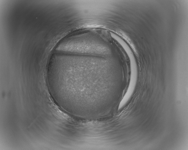 X0000075820385200609291416