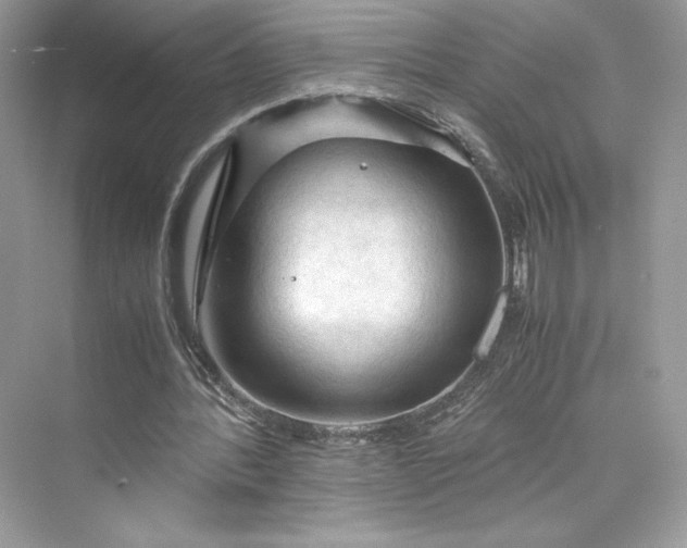 X0000075820388200609291416