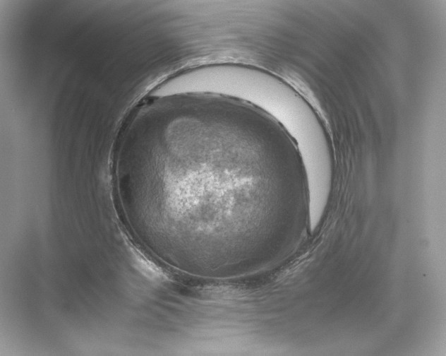 X0000075820389200609291416