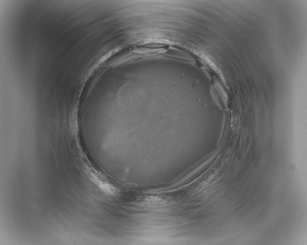 X0000075820390200609291416