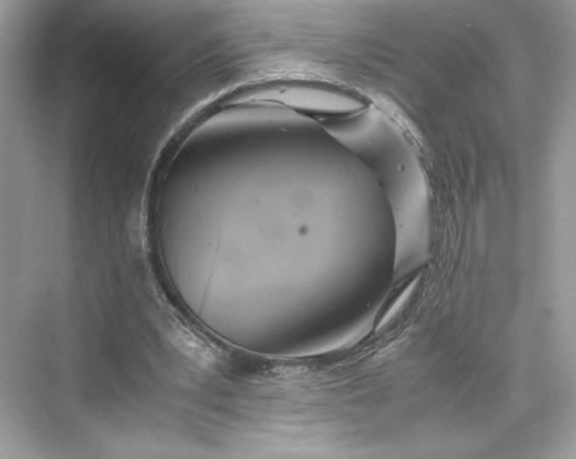 X0000075820391200609291416