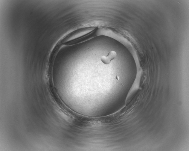 X0000075820392200609291416