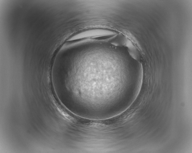 X0000075820393200609291416