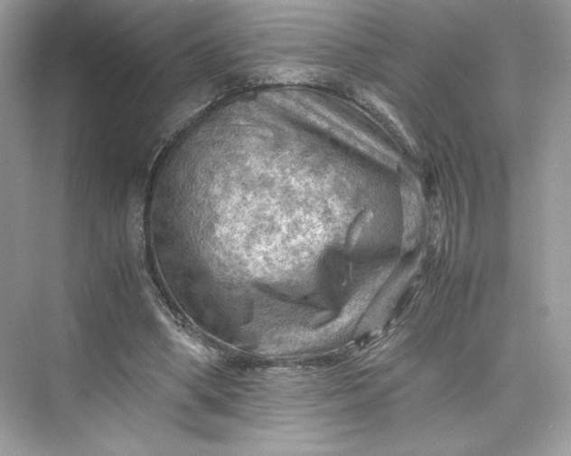 X0000075820394200609291416