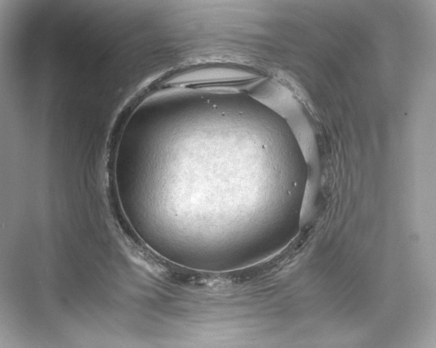 X0000075820395200609291416