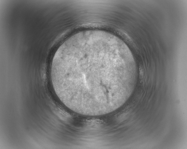 X0000075820396200609291416