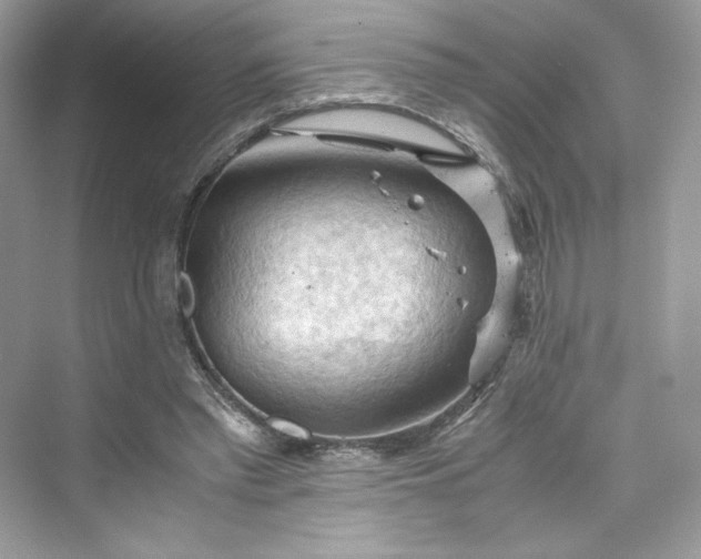 X0000075820397200609291416