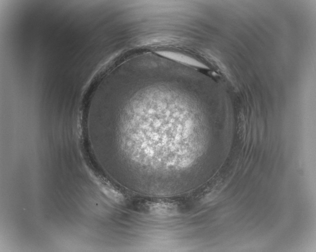 X0000075820400200609291416