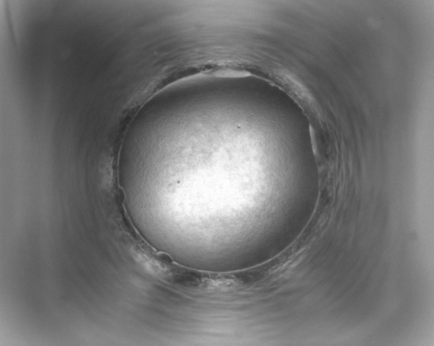 X0000075820401200609291416