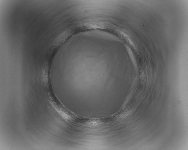 X0000075820402200609291416