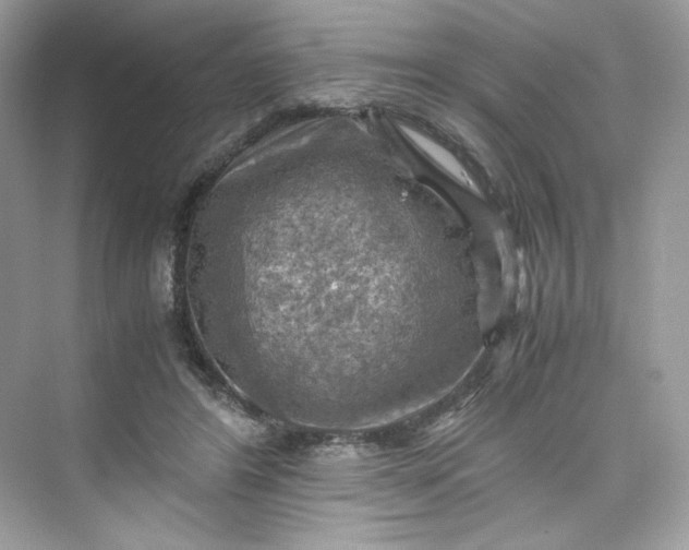 X0000075820404200609291416