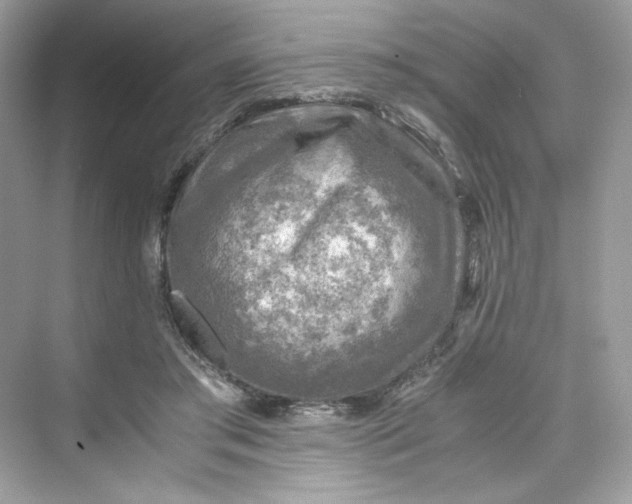 X0000075820405200609291416