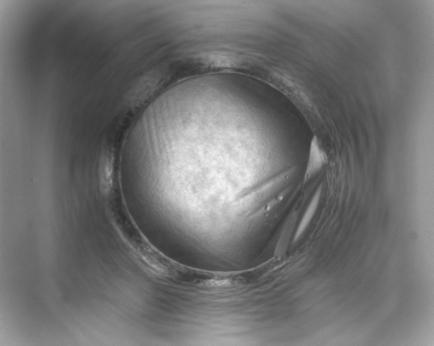 X0000075820406200609291416