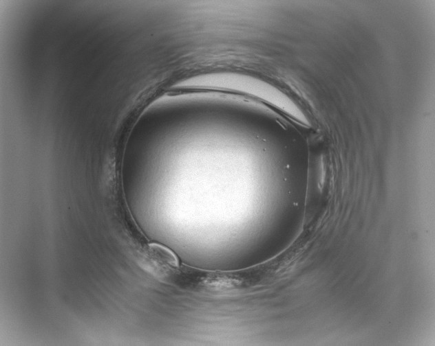 X0000075820407200609291416