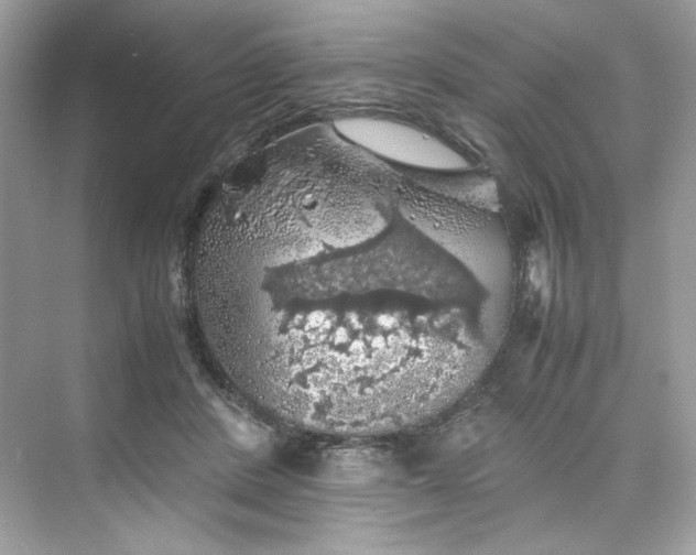 X0000075820408200609291416