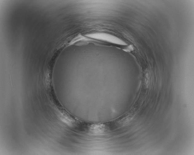 X0000075820410200609291416