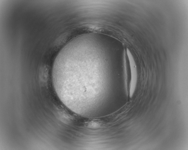 X0000075820412200609291416