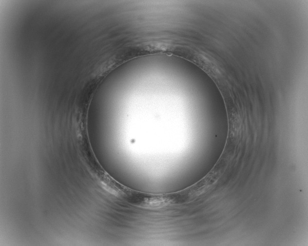 X0000075820414200609291416