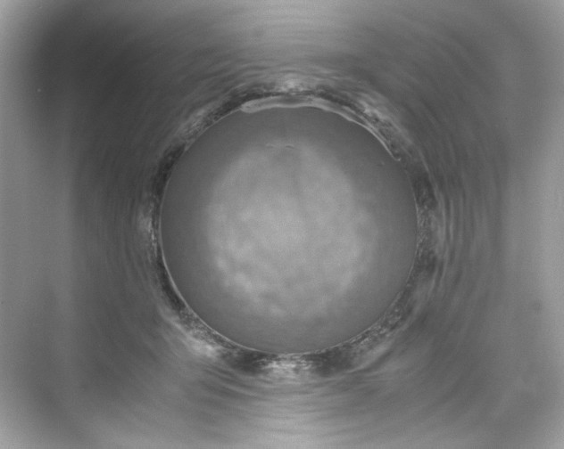 X0000075820415200609291416