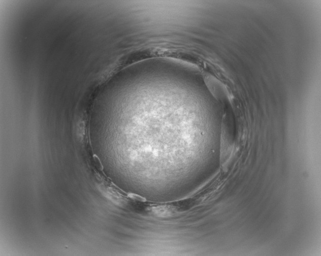 X0000075820417200609291416