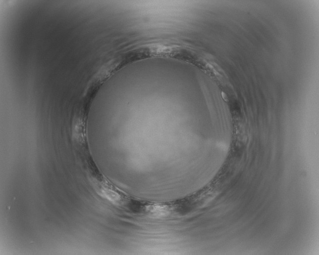 X0000075820419200609291416