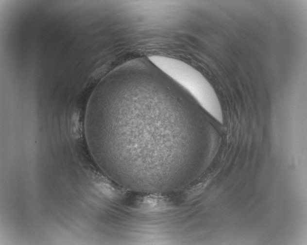 X0000075820420200609291416