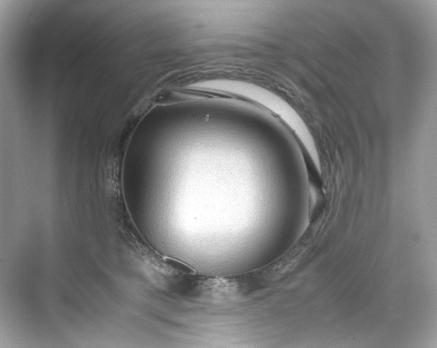 X0000075820421200609291416