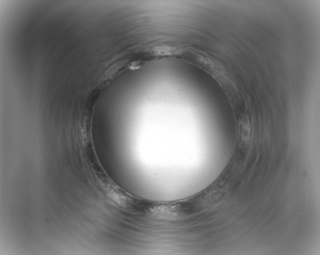 X0000075820422200609291416