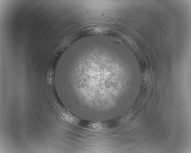 X0000075820423200609291416