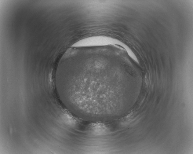 X0000075820424200609291416