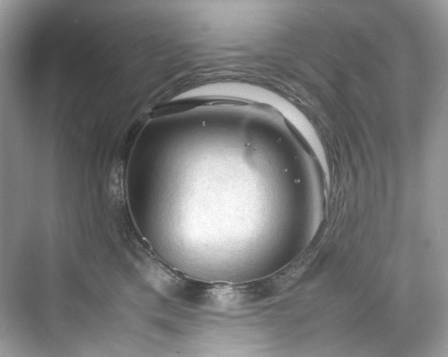 X0000075820425200609291416