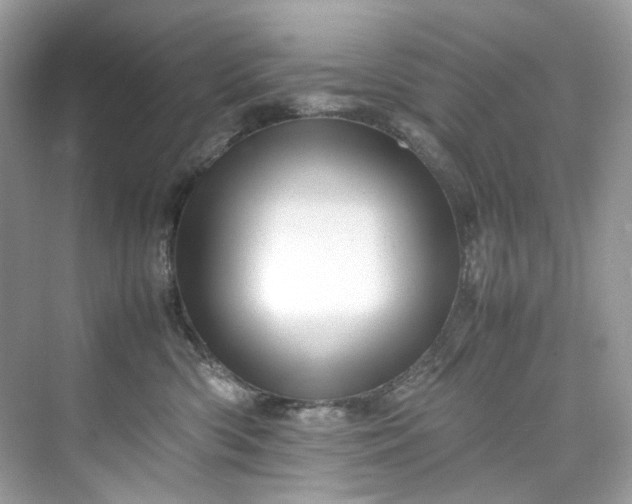 X0000075820426200609291416