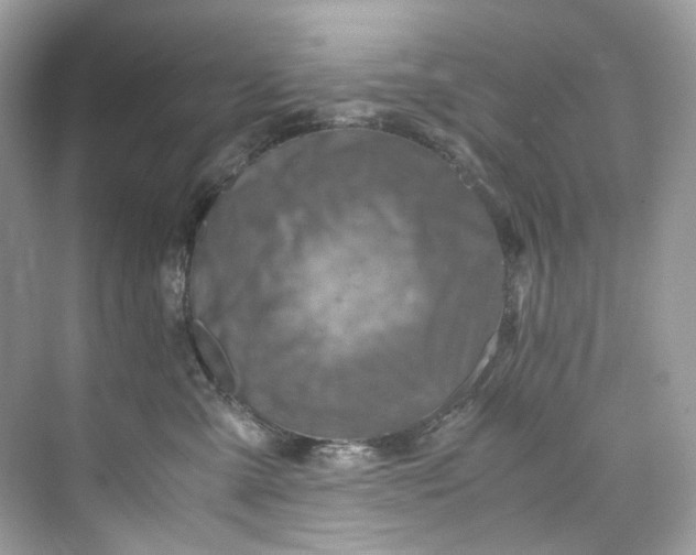 X0000075820427200609291416