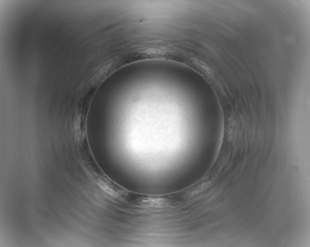 X0000075820428200609291416