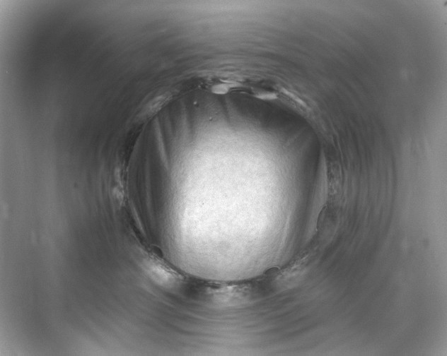 X0000075820430200609291416