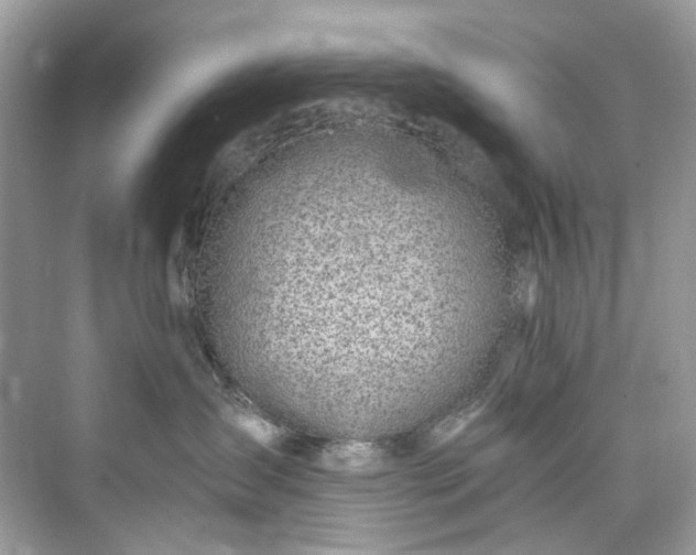 X0000075820431200609291416