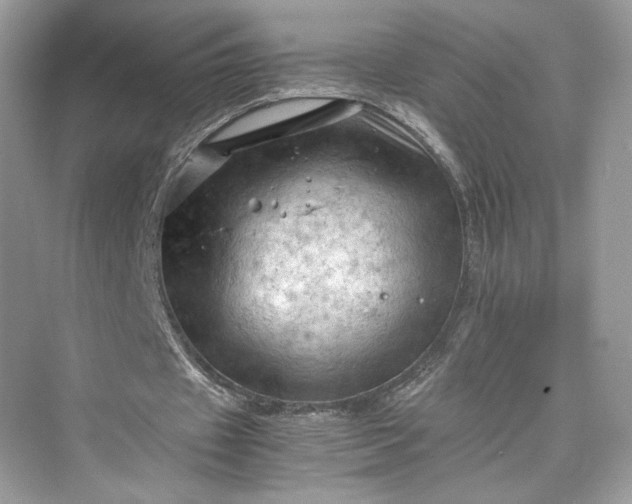 X0000075820433200609291415