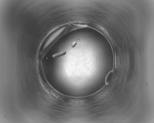 X0000075820435200609291415