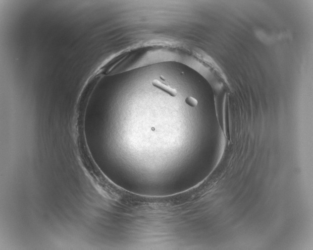 X0000075820436200609291415