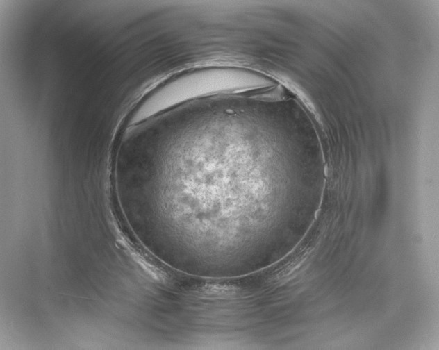 X0000075820437200609291415