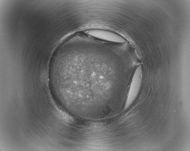 X0000075820438200609291415