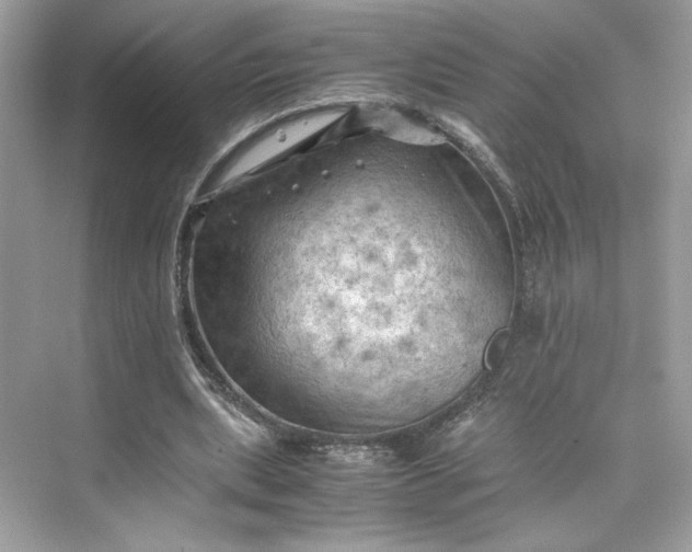 X0000075820439200609291415