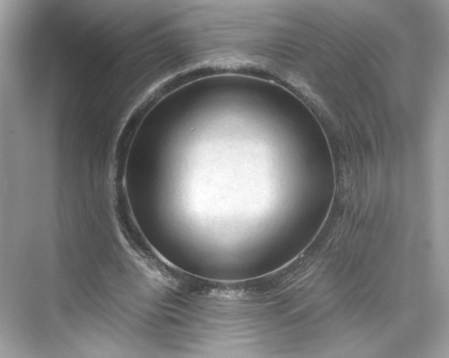 X0000075820440200609291415