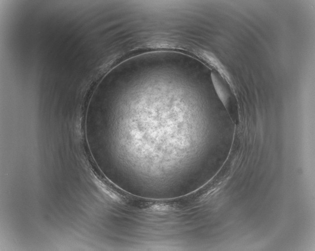 X0000075820441200609291415