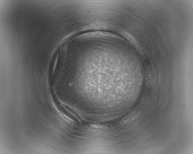 X0000075820442200609291415