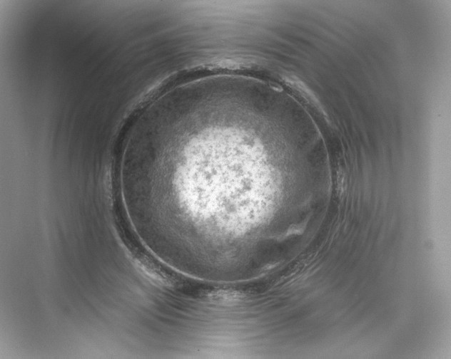 X0000075820444200609291415