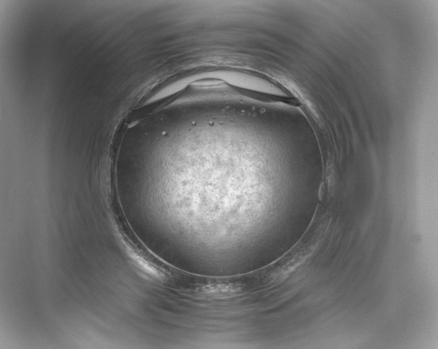 X0000075820445200609291415