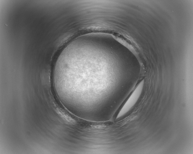 X0000075820446200609291415