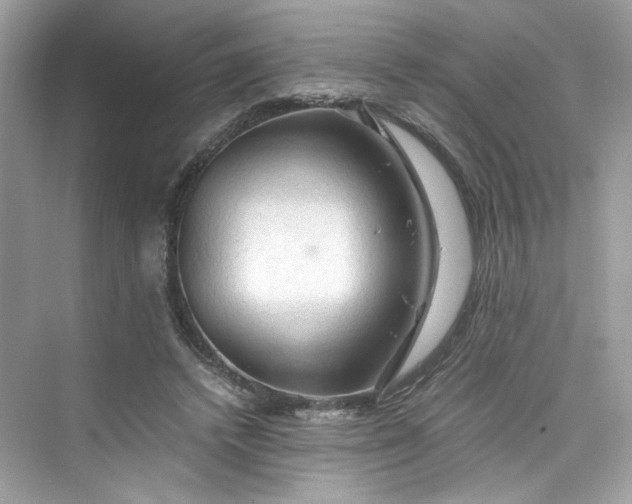 X0000075820448200609291415