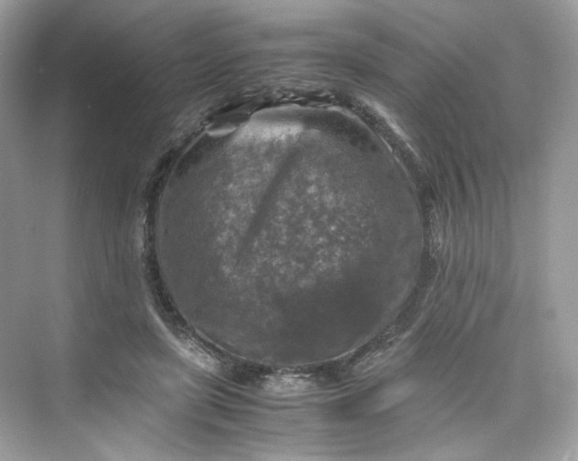 X0000075820451200609291415